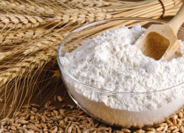 Iran&#039;s Share of Iraq&#039;s Flour Market Reaches 16 Percent Per Annum