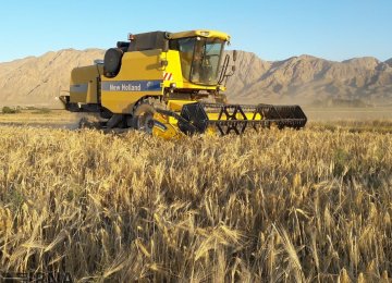 GTC to Purchase 10m Tons of Wheat From Local Farmers in Current Crop Year 