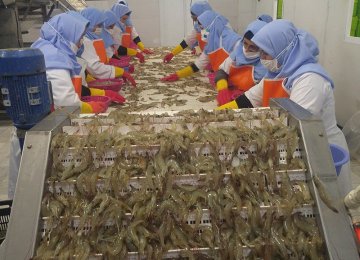 Annual Fishery Exports Earn $535m