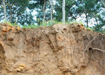 Soil Erosion Costs Iran $56b in Covert Damage p.a.