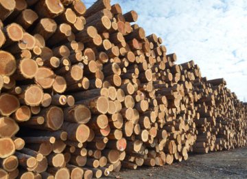 Timber Harvest Estimated to Reach 1.5 mcum by March