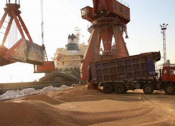 Wheat Imports Surpass $300 Million in 1 Month