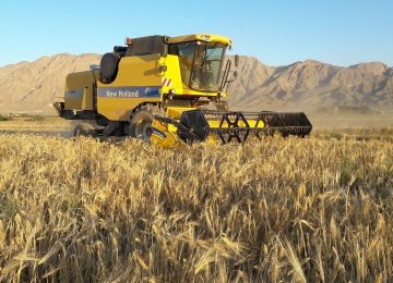 Wheat Imports Increase by 60% in Volume, 92% in Value