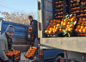 Fruit Prices Zoom