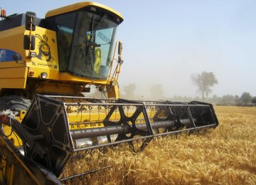 FAO: Iran 2nd Biggest Cereal Producer in Near East 