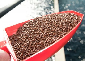 Fish Feed Export Ban Lifted