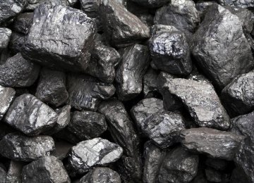 Coal Concentrate Output Up 12% 