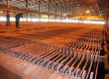 Copper Concentrate Output  Grows 10% 