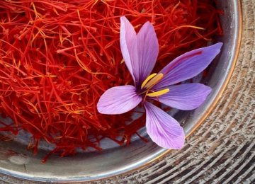 Iran is the world’s biggest saffron producer and accounts for more than 90% of the global production.