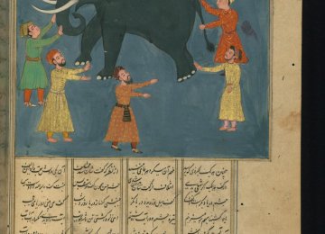 An illustration of “Elephant in the Dark”