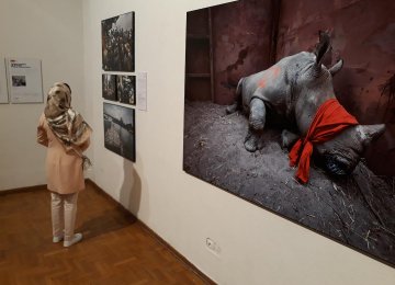 Best of World Press Photos  on Display