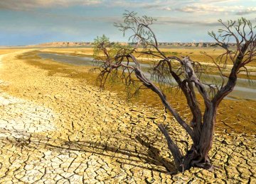 Need to Recognize Persistent  Drought to Push Adaptation 