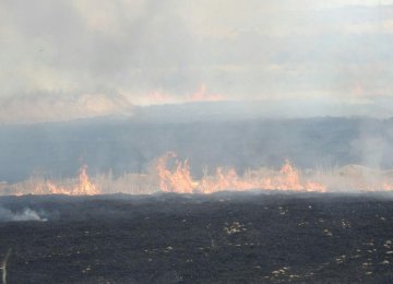 Smoke From Hour al-Azim Wildfire Choking Khuzestan 