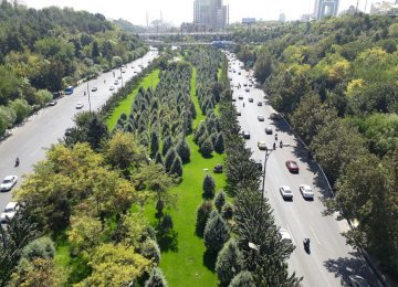 Trade Group Opposes Ban  on Grass Planting in Tehran 