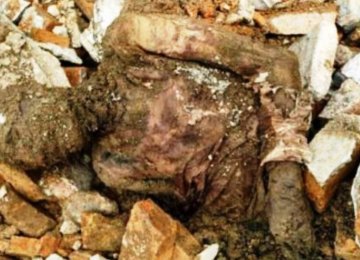 Tehran Mummy&#039;s Fate Unclear