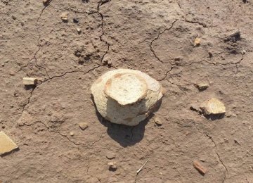 Ancient Relics Discovered in Bushehr