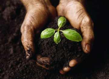 Soil Protection Legislation  Advances in Parliament