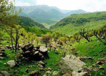 Modifications of Protected Areas Will Promote Rural Development, Investment