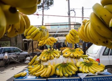 Annual Banana Imports to Iran Top $370m