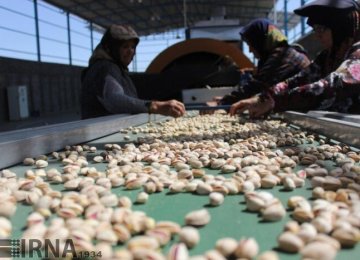 Annual Pistachio Exports Drop by 33 Percent to $690 Million: IRICA