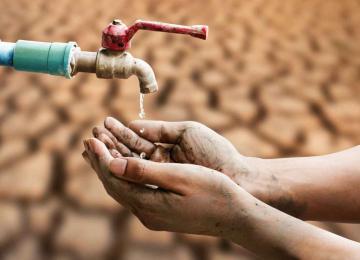 Iran’s Water Breakdown: From Farms to Faucets