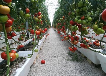 New Tech Solutions to Make Greenhouse Farming More Convenient and Efficient