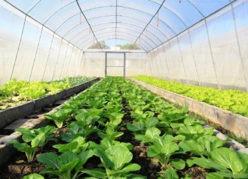 Agritech Plan to Upgrade Farming
