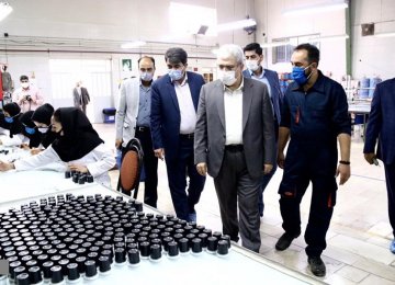 Gov’t Projects Revitalize Yazd Technology Ecosystem 