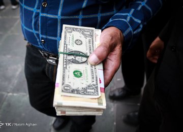 Rial Gains, Currencies Slip in Tehran