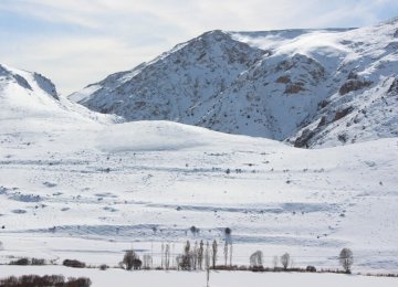 Abfa Reports 69% Decline in Snowfall 