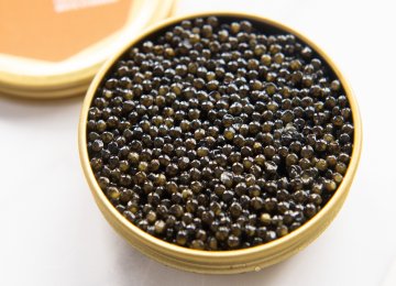 4.5 Tons of Caviar Exported Last Year