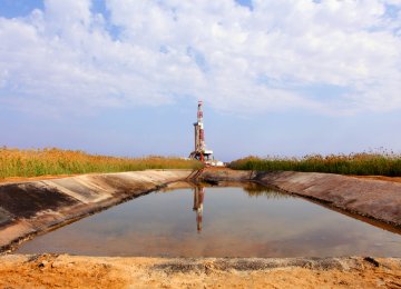 Oil Ministry Under DOE Fire for Hoor al-Azim Wetland  