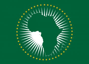 Diplomat Attends AU Summit 