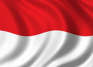 Indonesia  Ties 