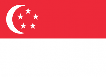 Singapore Ties