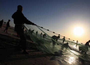 Israeli Navy Arrests Gaza Fishermen