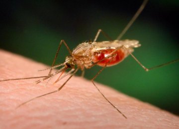 Bill Gates, UK in $4.2b Fight Against Malaria