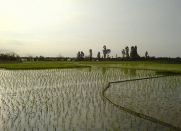 Agro Coop.  With Vietnam