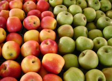 Bumper Apple Production