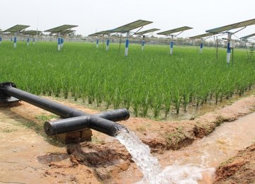 Water-Intensive Crops