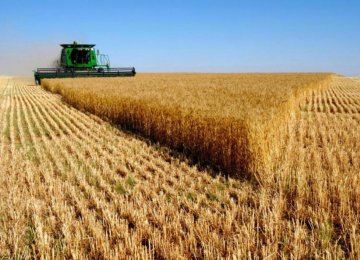Agro Trade Deficit Down 