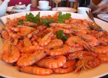 Shrimp Production to Rise