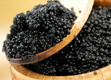 Caviar Prices