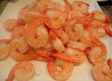 Italy to Import Shrimp