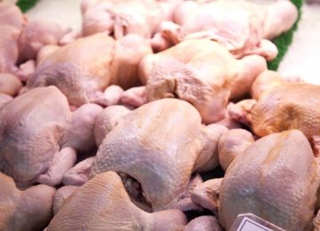 Iranian Chicken in Oman