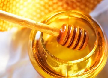 Honey Export