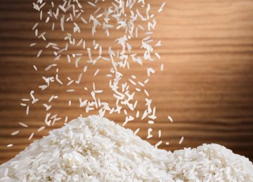 Rice Import Ban Remains