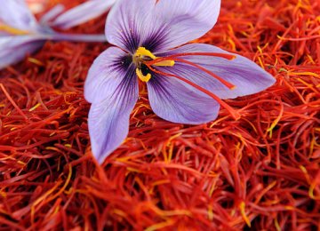 Saffron Exports Decline