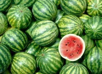 No Watermelon Exports to UAE