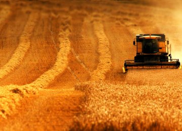 World Grain Traders  Lining Up for Business